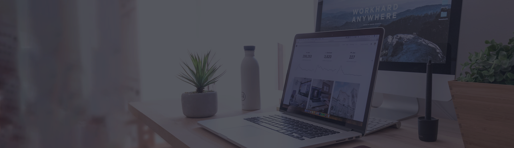 Custom LMS Development