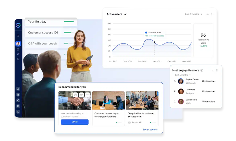 Full-Scale LMS Customization