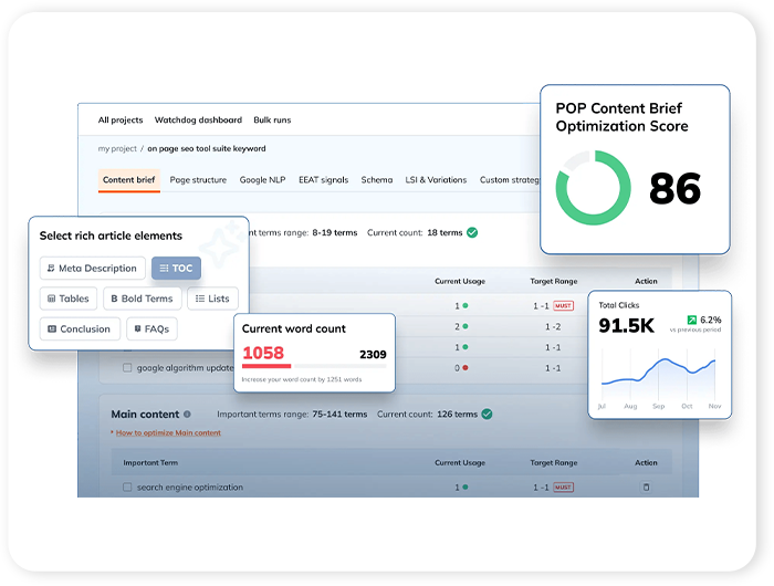 Meticulous On-Page SEO & Optimization